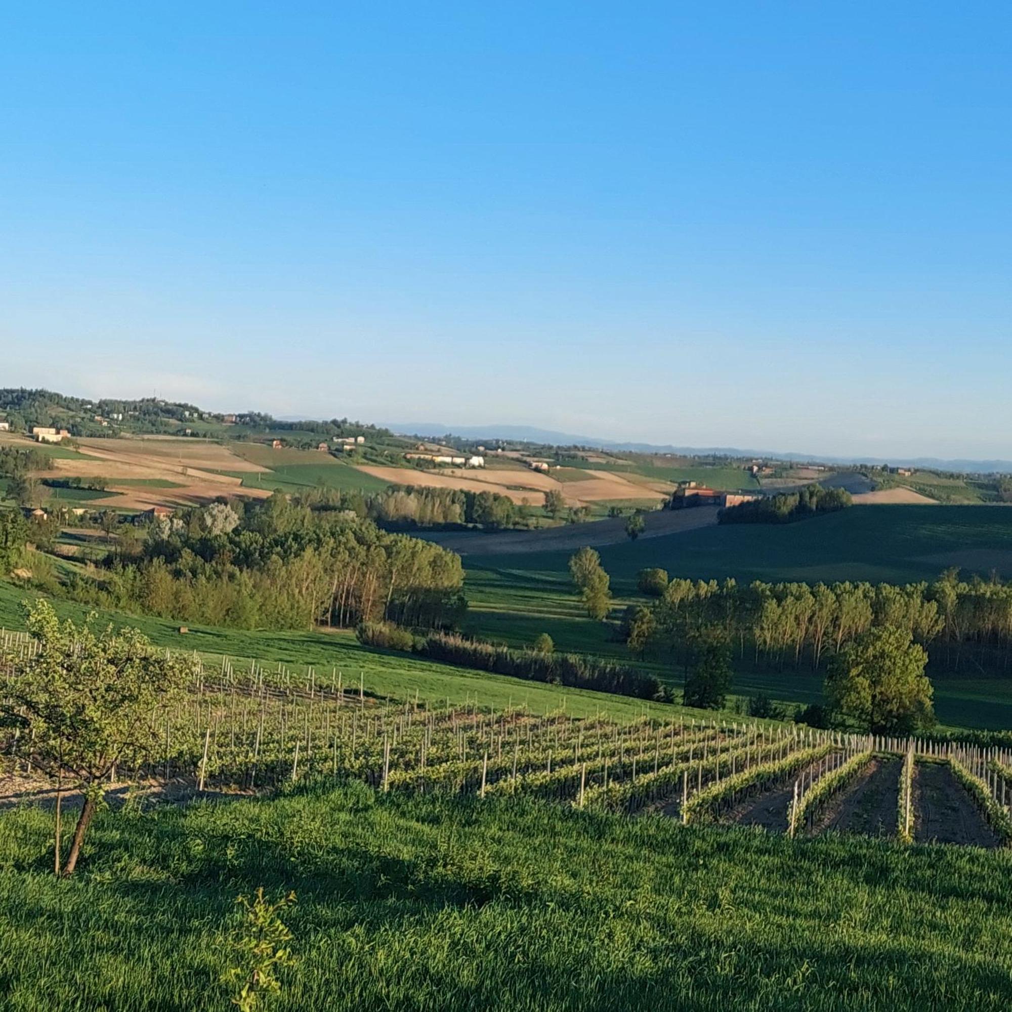 Casa Rovelli Bed & Breakfast Alfiano Natta Exterior foto
