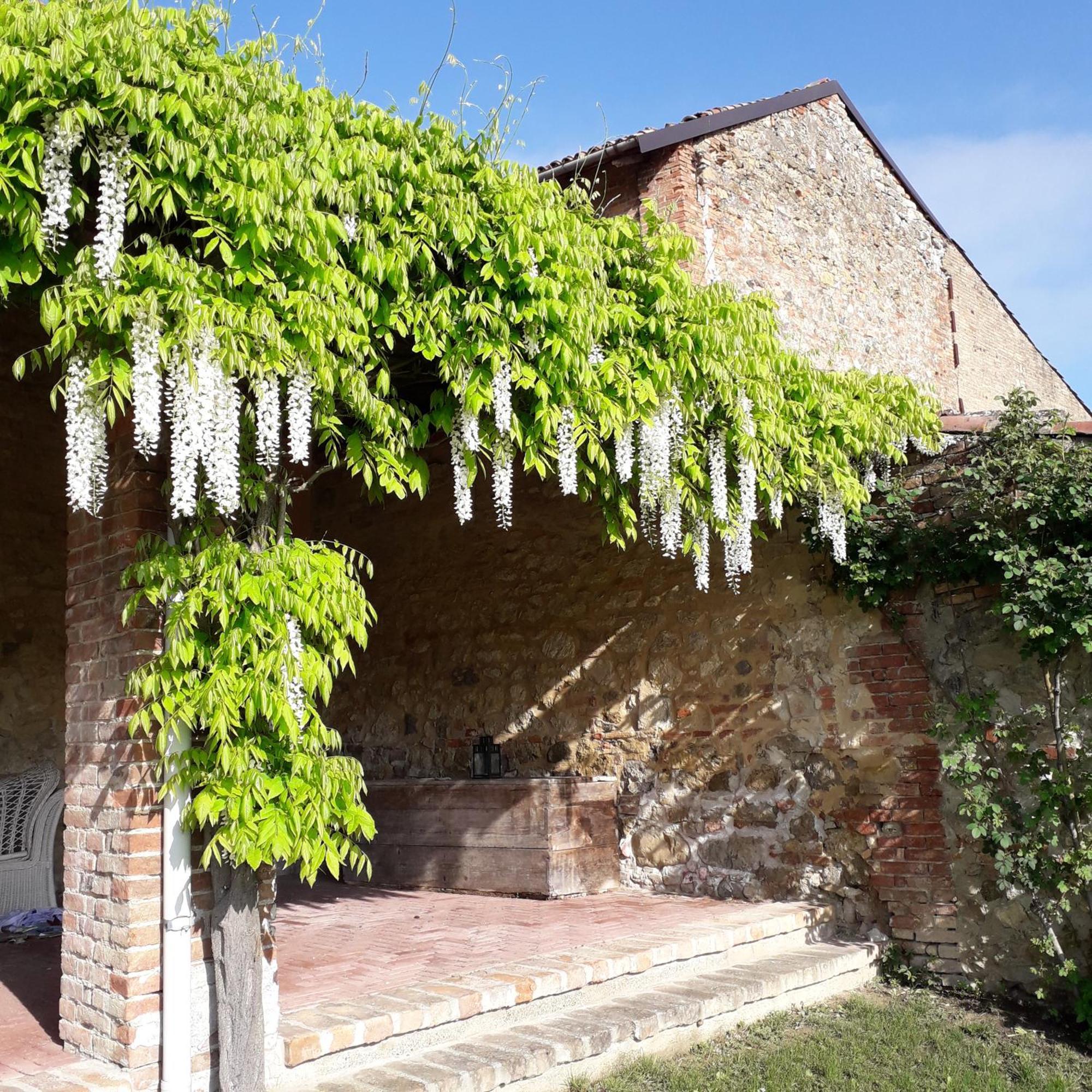 Casa Rovelli Bed & Breakfast Alfiano Natta Exterior foto