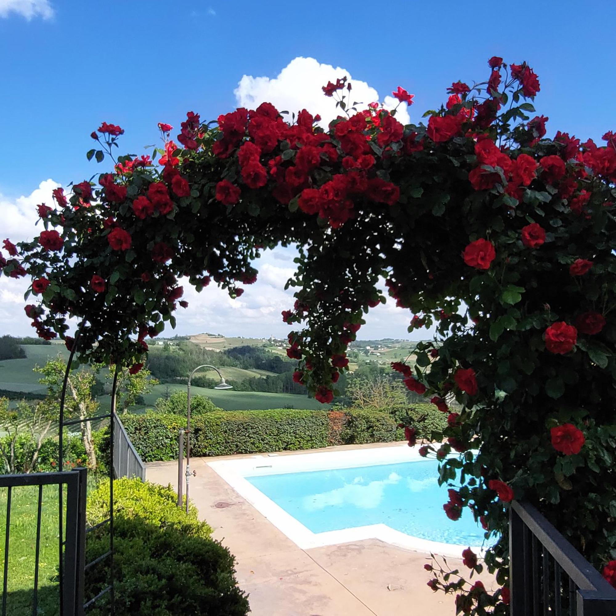Casa Rovelli Bed & Breakfast Alfiano Natta Exterior foto